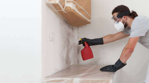 Professional Mold Testing technician working in East Norwich, NY