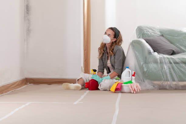 Reliable Mold Testing contractor in East Norwich, NY by WQB Mold Removal